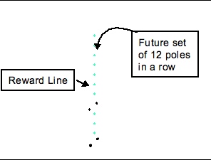 2x2reward line