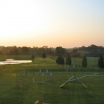 An early morning look out the window of my new home office.