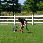 Michel & Pfeffer playing at skills camp.