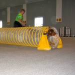 Working rear crosses with the clear tunnel.