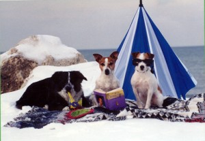beach party Beach party, mid '90's.