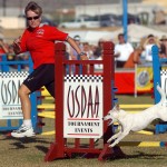 finals_jumpseries4 A much trimmer 124 lb Susan & DeCaff