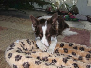 Estacy at last for Feature as she reclaims her bed.
