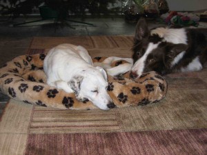 Feature appealing for help as she tries to reclaim her suckie-bed.