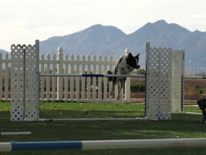 Look at the beautiful scenery I got to look at each day while I taught in AZ!