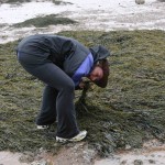 High tide in New Brunswick and I am looking for a snack . . .that