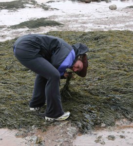 High tide in New Brunswick and I am looking for a snack . . .that's normal isn't it?