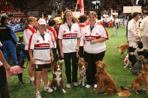 The 2008 CKC Large dog team (sorry mini's no pic available)