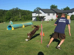 I am not suggesting you all email Greg Derrett for your challenges but he certainly is one of the many qualified elite handlers that could contact.