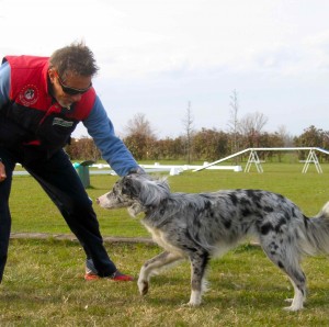 Italian World Team member and his up and coming dog play the collar grab game.