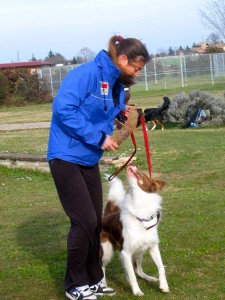 Young Handler from Rome.