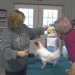 Bob working at one of our Say Yes Chicken Camps many years ago.