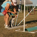 11_wks_jump_reward_sit
