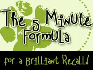 5-minute-formula-video-banner