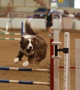 encore_jump
