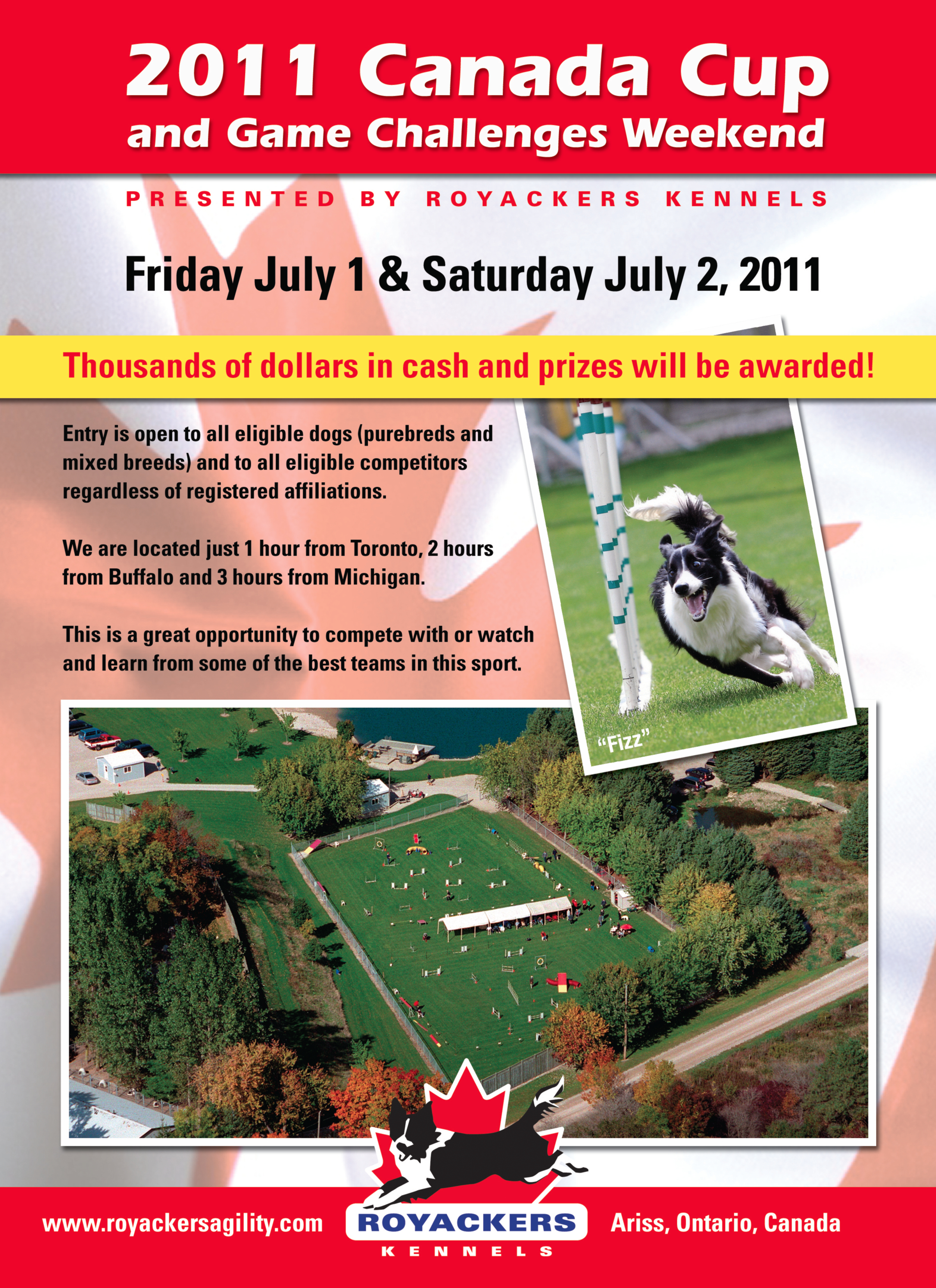 2011 CC Poster