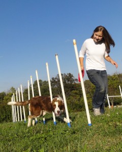 Libby and Elliot Practice Puppy Peaks