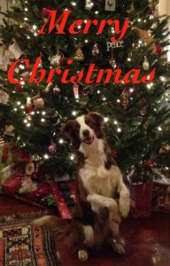 Merry Christmas Elliott Tree