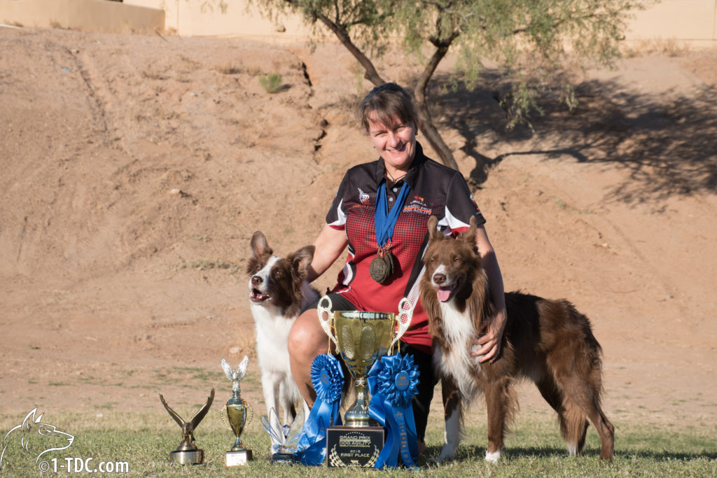 Could I Be A Dog Loving Mentor? Susan Garrett's Dog Training Blog