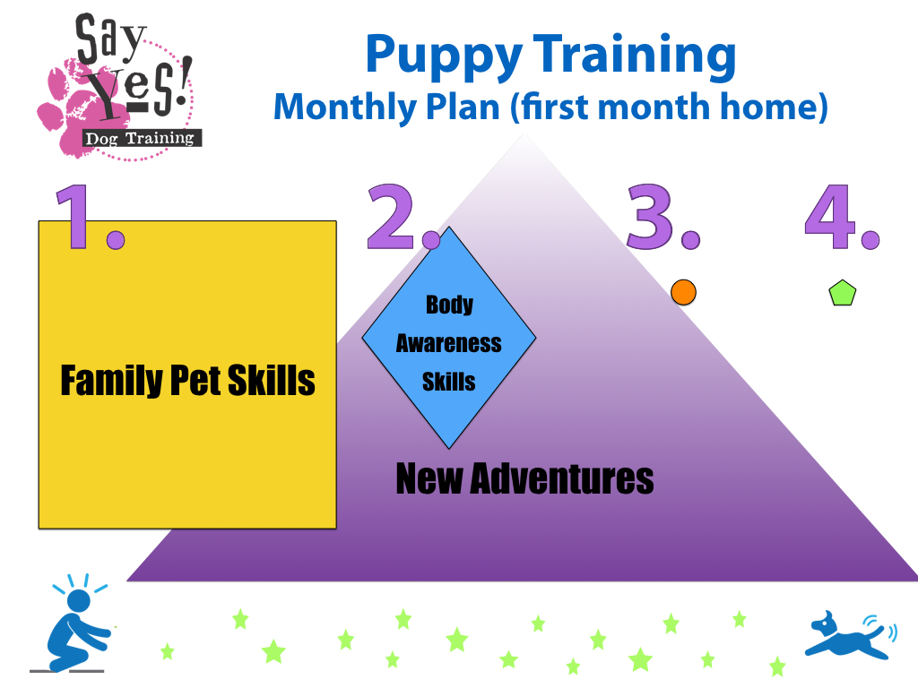 ... For Success With Your Dog Training | Susan Garrett's Dog Training Blog