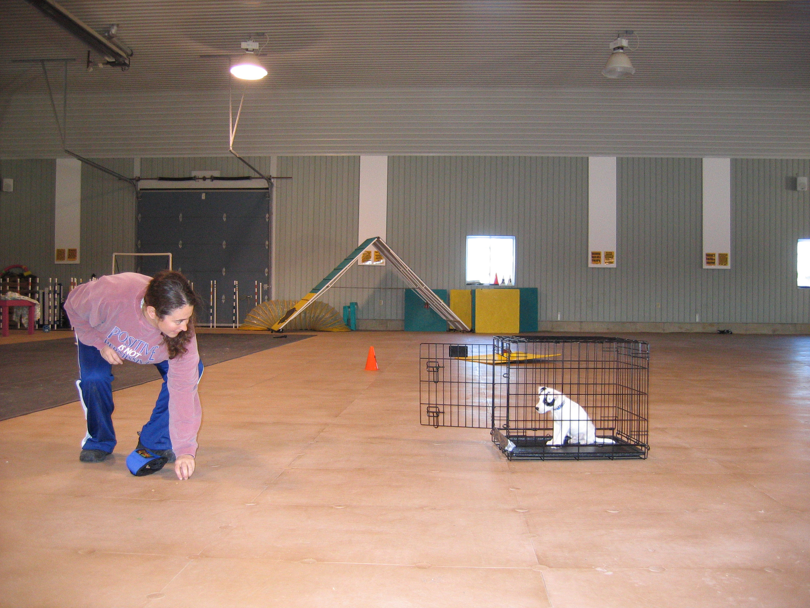 Crate Games, it is not just for breakfast any more. | Susan Garrett's ...