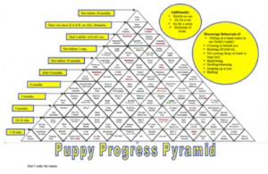 Susan Garrett's Puppy Peaks Puppy Pyramid