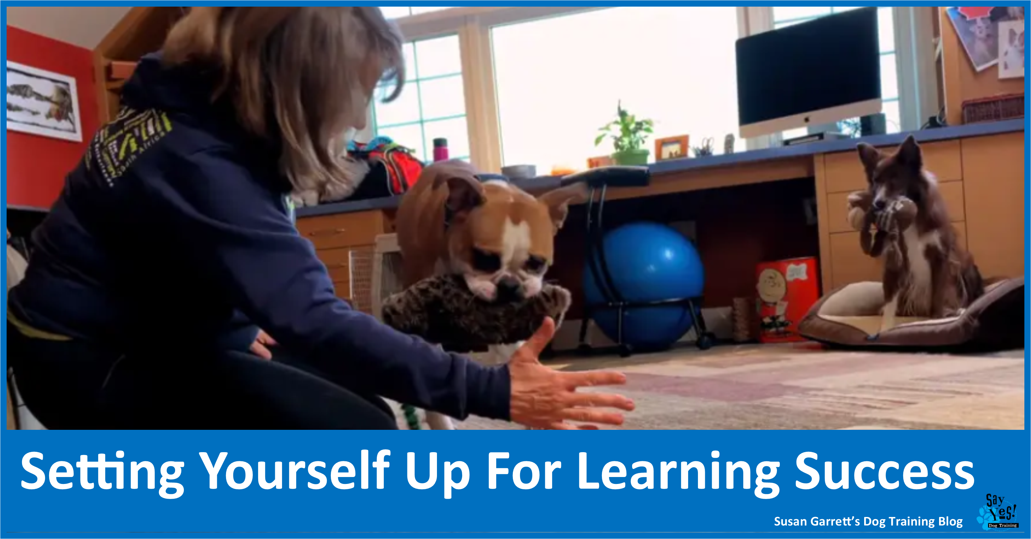 Setting Yourself Up For Learning Success | Susan Garrett's ...