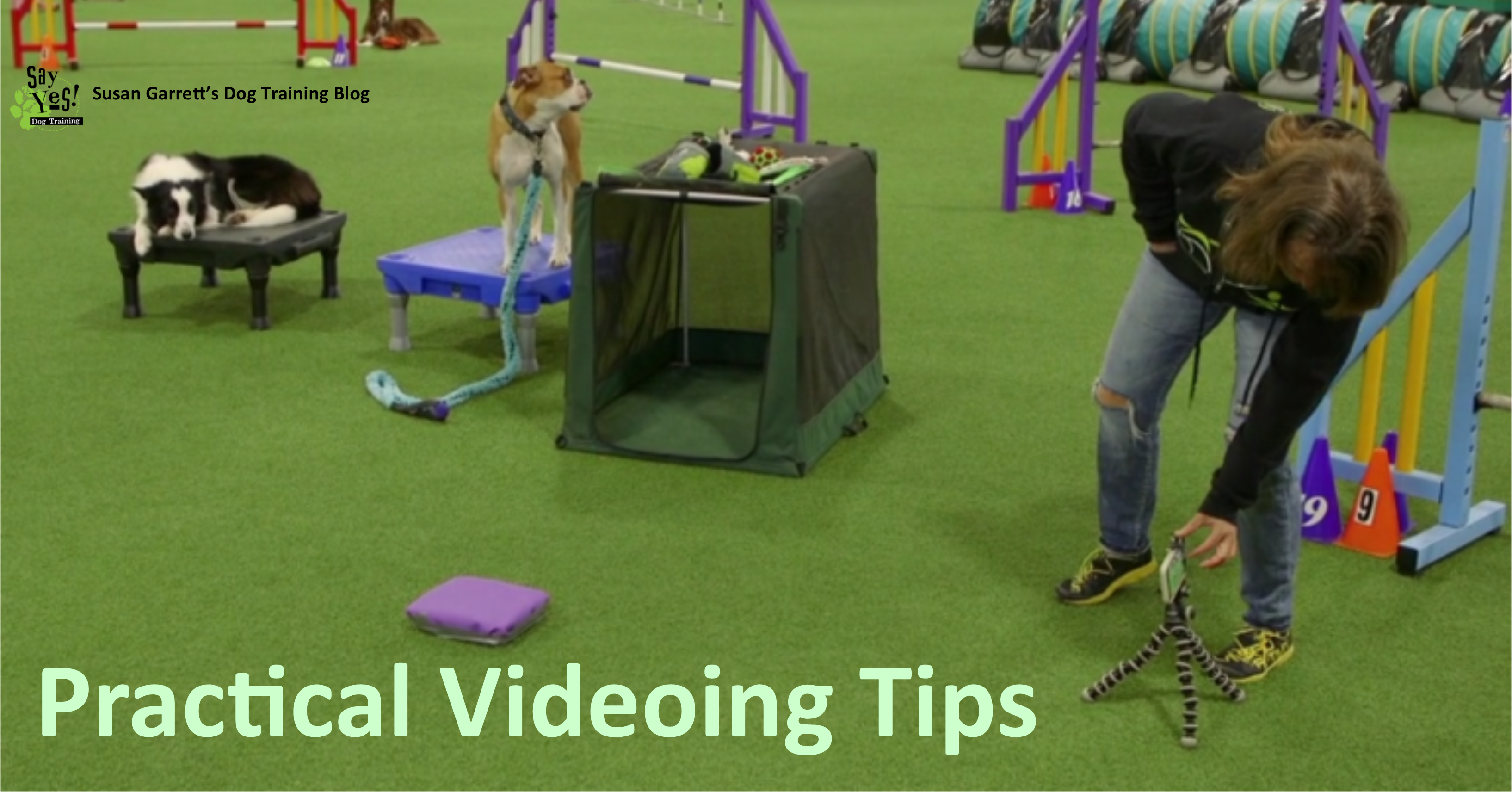 Practical Tips | Susan Garrett's Dog Training Blog