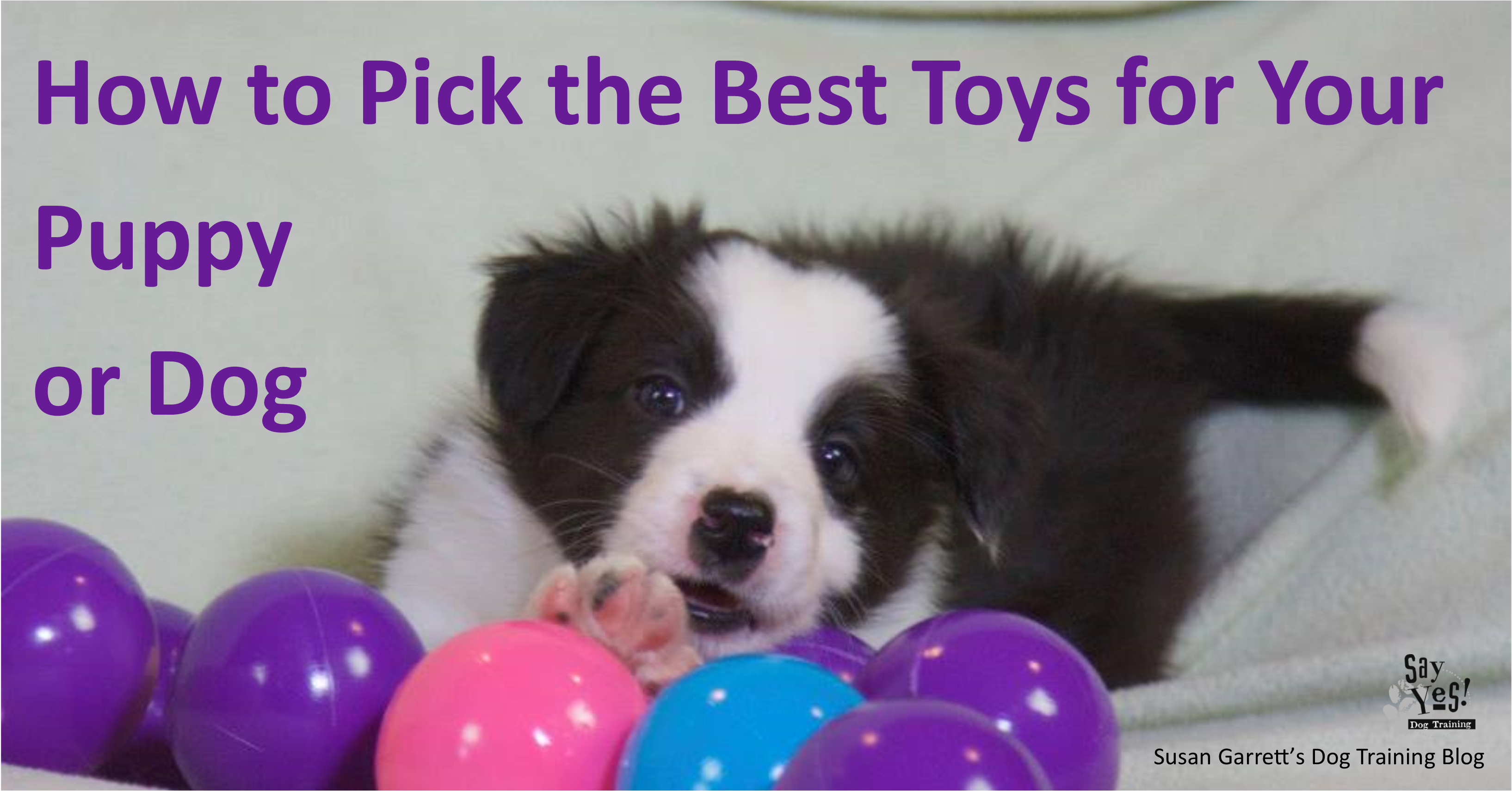 How to Pick the Best Toys for Your Puppy or Dog