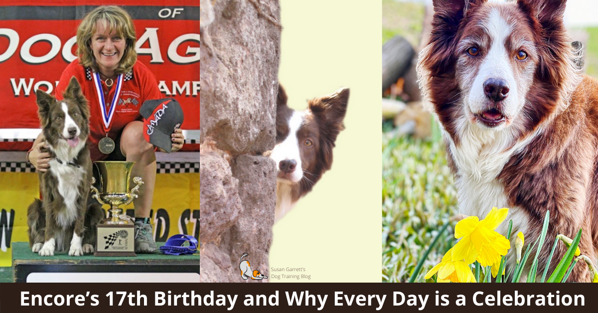 Encore's 17th Birthday and Why Every Day is a Celebration