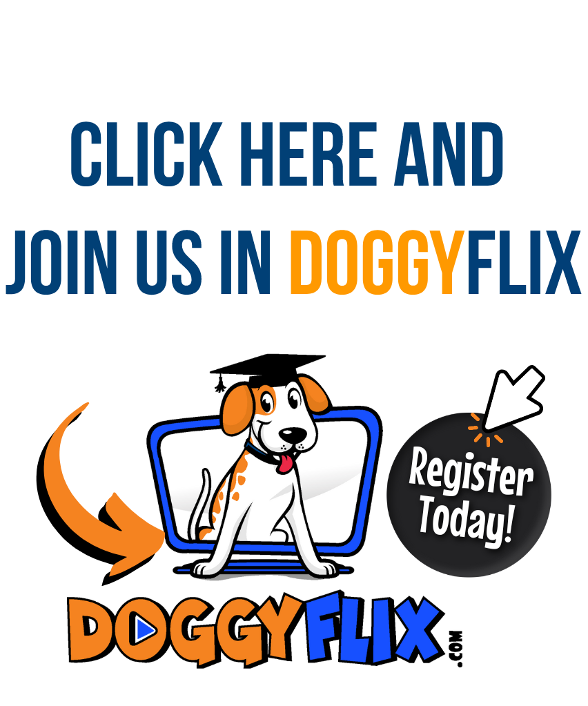 doggyflix-image