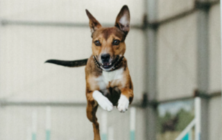 ItsYerChoice for Sport