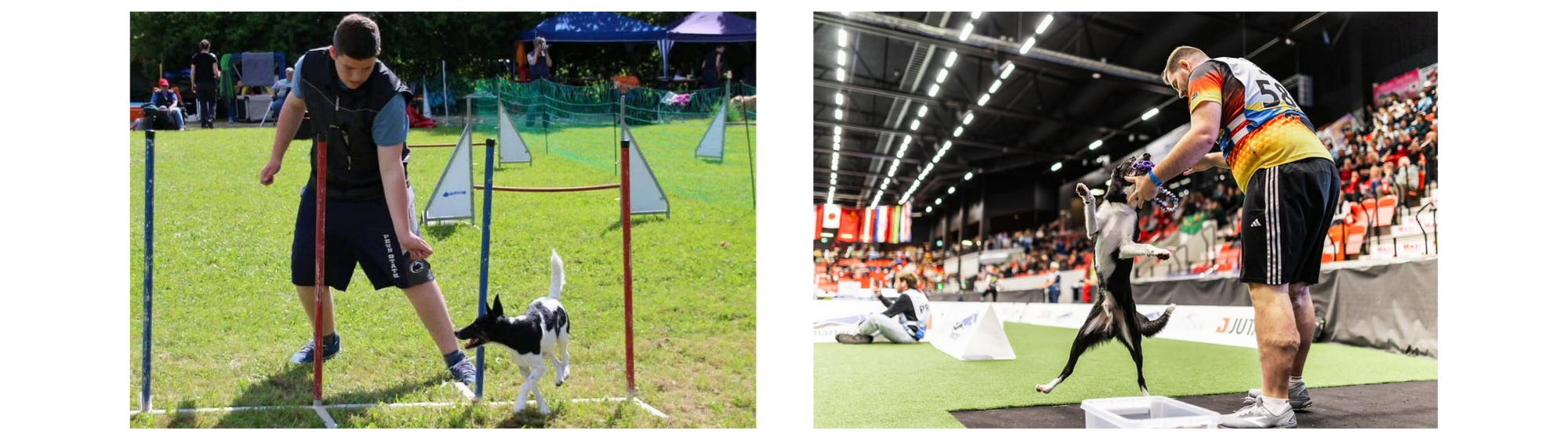 From his first competitions with Emma to world stages with multiple dogs, Max Sprinz’s dog agility journey has been built on resilience and joy.