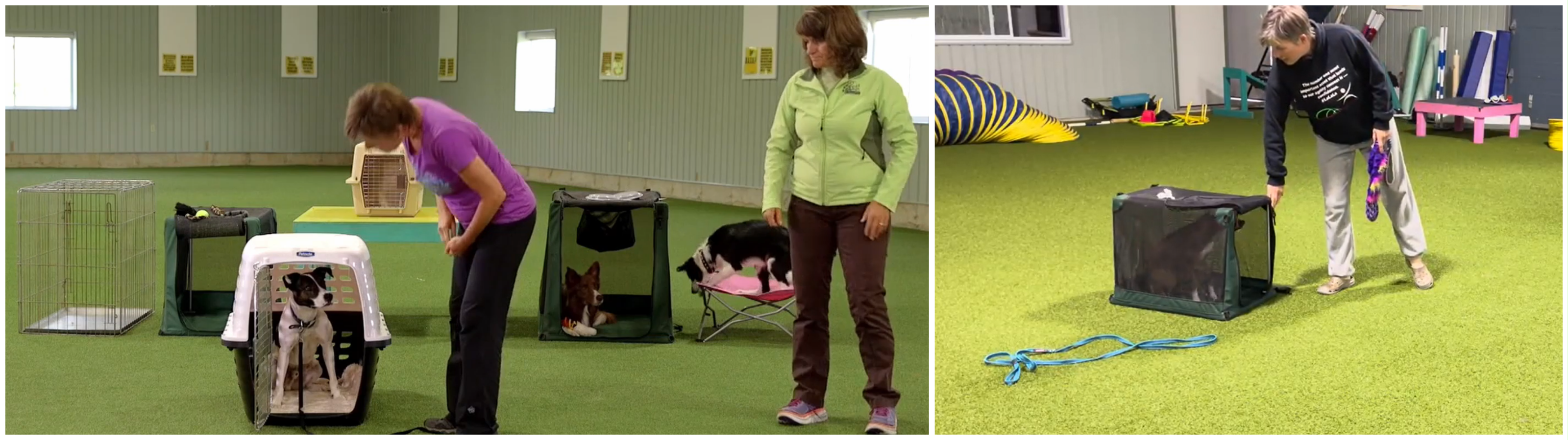 Susan Garrett demonstrating Crate Games with dogs to teach calm sits, focus, and impulse control through positive reinforcement.