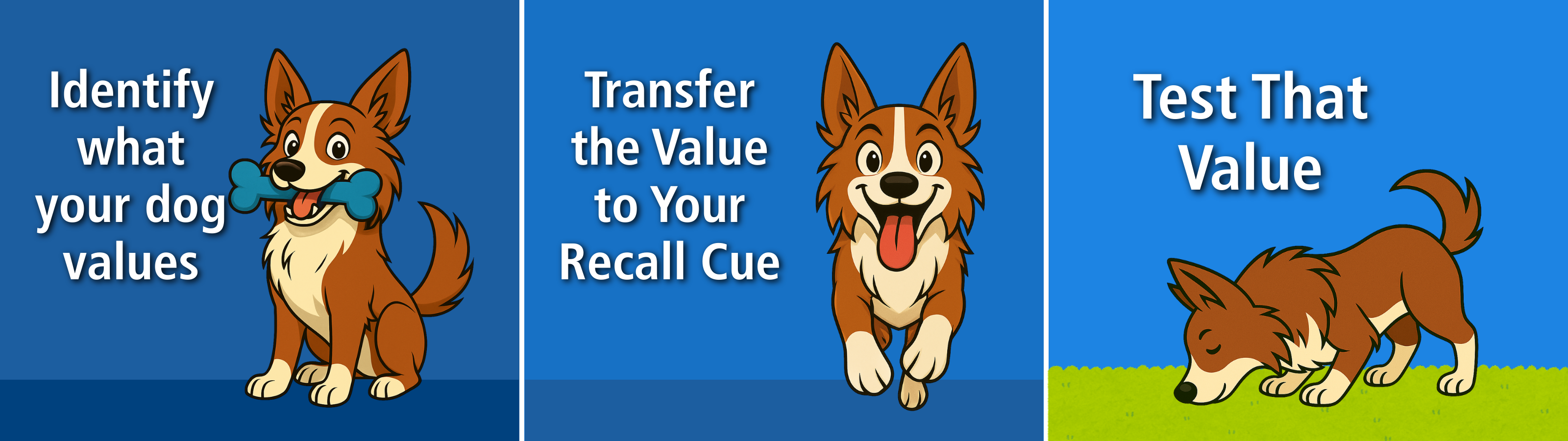 Dog Recall Blog Images 2