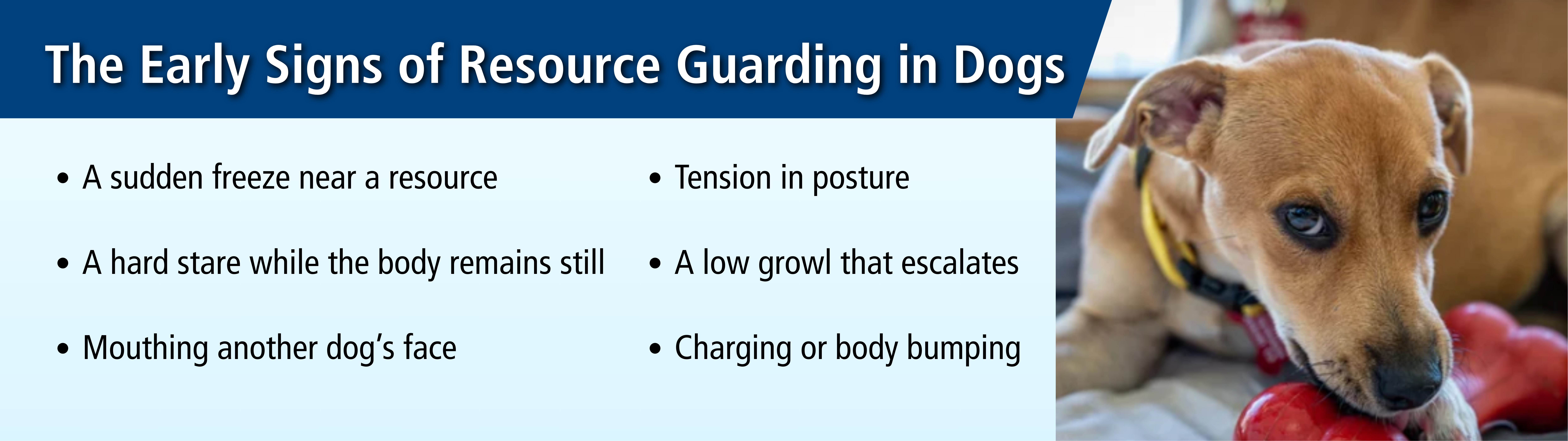 Res Guard Blog Image 2