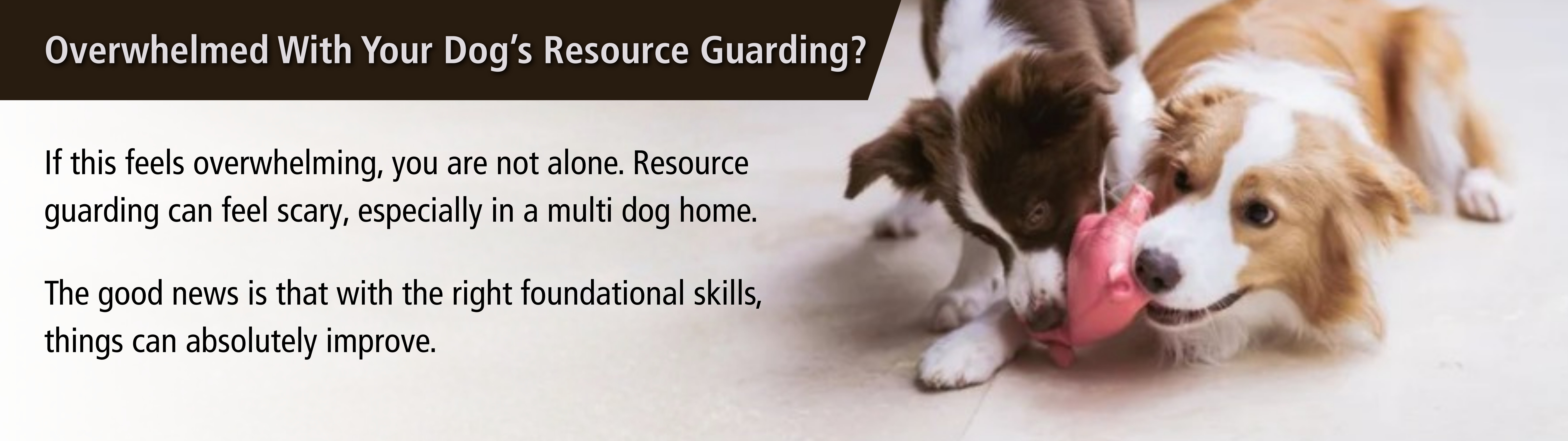 Res Guard Blog Image 5