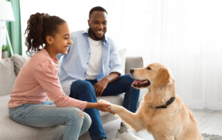 Dog meeting person will be doing pet sitting