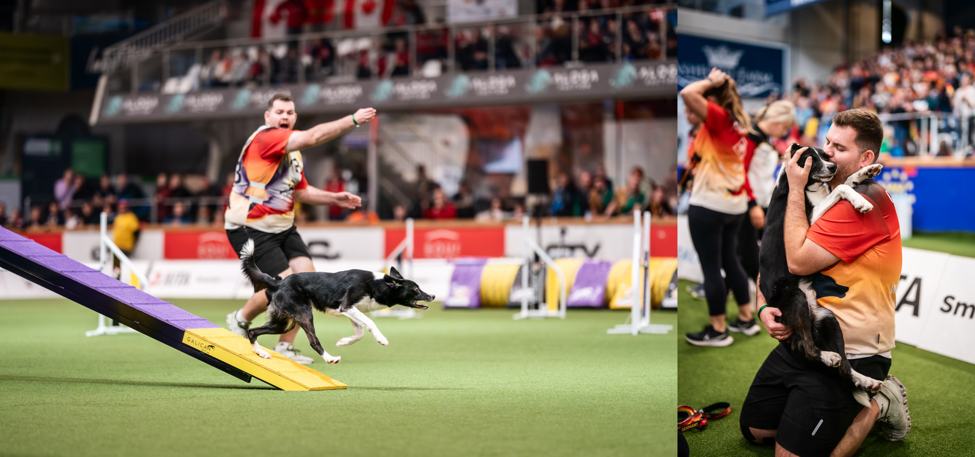Blog Post Images (3200 x 1500 px) Max Sprinz, World Agility Champion