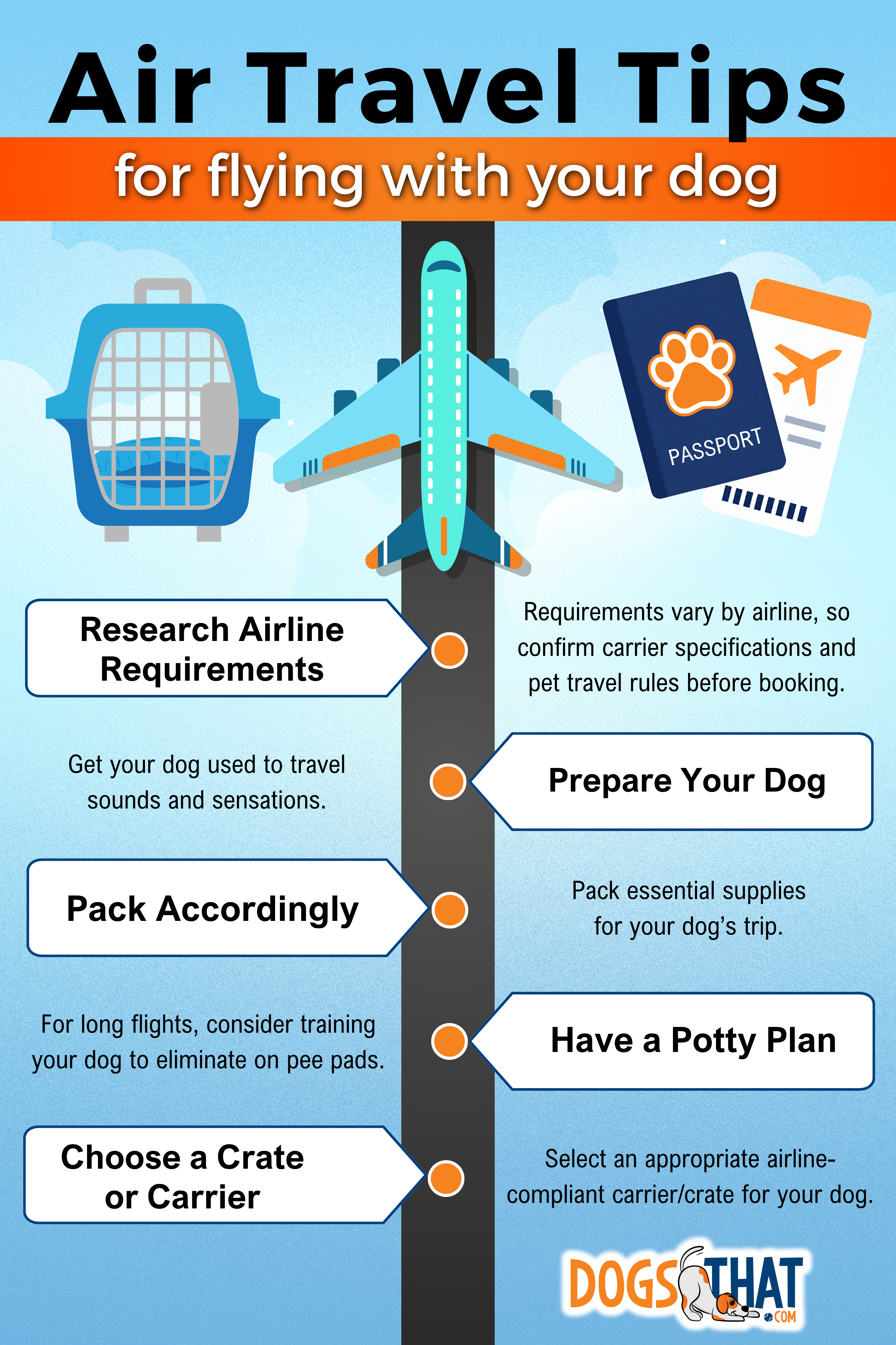 How to fly with a dog infographic