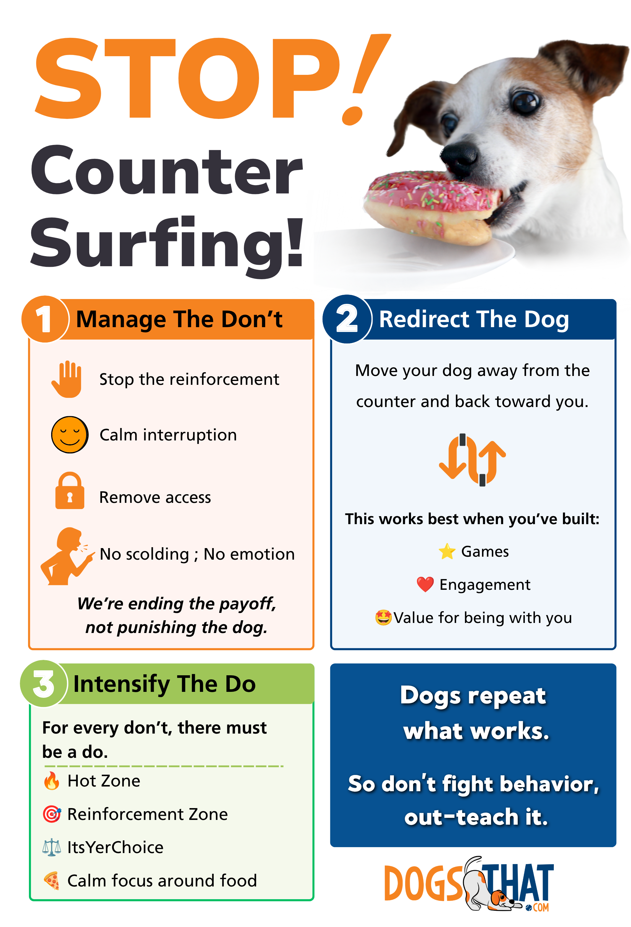 SBDEP293-Infographic Dog Behavior Problems Infographic. 3 Step Formula