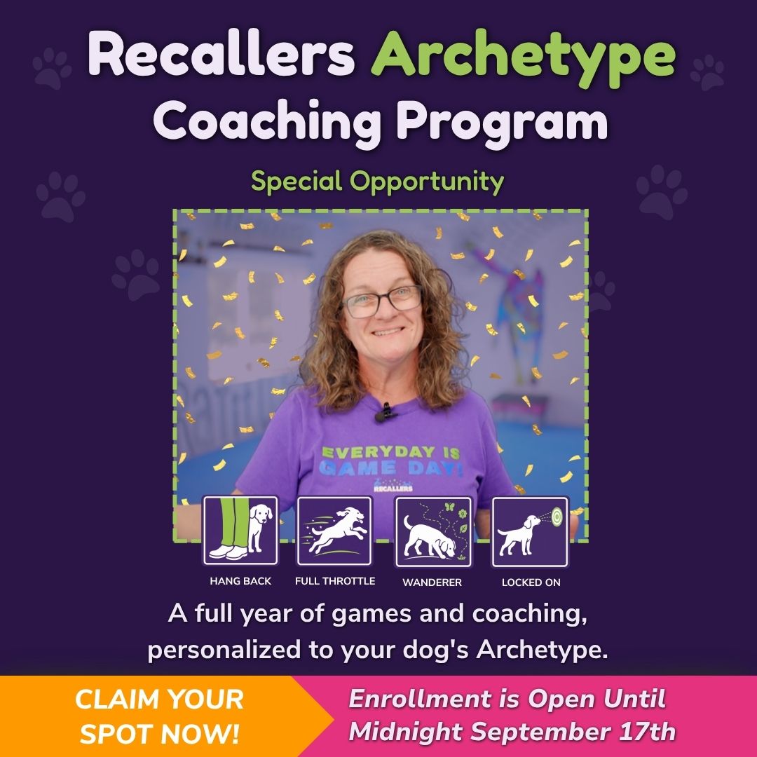 Join the Recallers Archetype Coaching Program